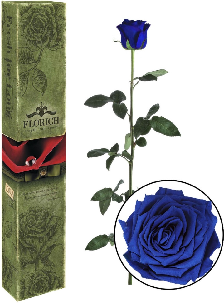 Роза долгосвежая FLORICH Синий сапфир
