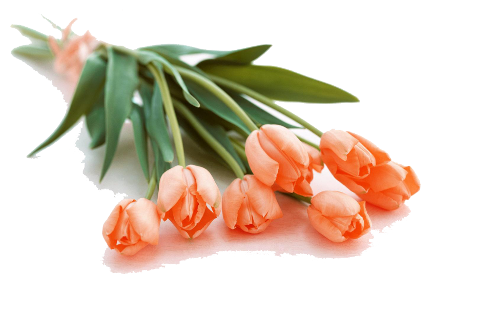 Букет тюльпанов Лепесток