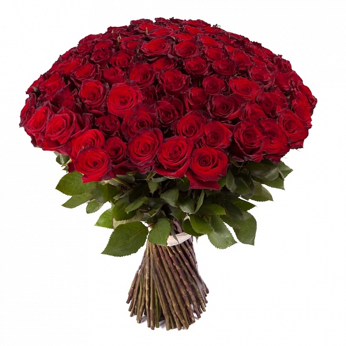 Букет из 101 красной розы Превосходство