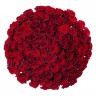 Букет из 101 красной розы Превосходство