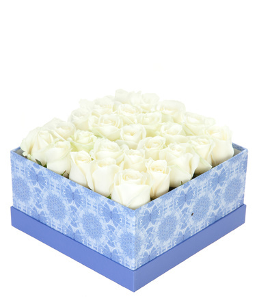 Коробка белых роз "Мягкость"