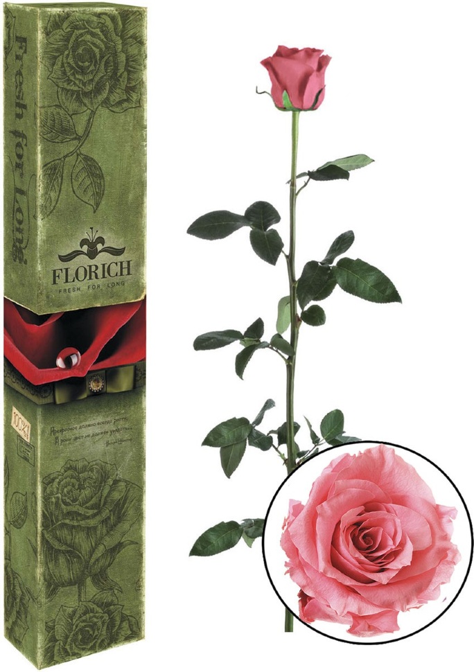 Роза долгосвежая FLORICH Розовый кварц